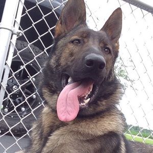 Meet your Posher, Donavon