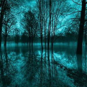 Meet your Posher, Jillian