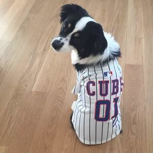 Meet your Posher, Harrison