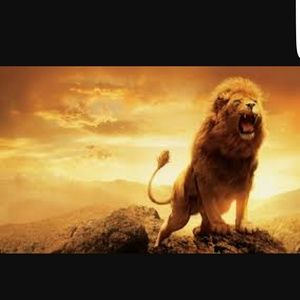 Meet your Posher, Zach