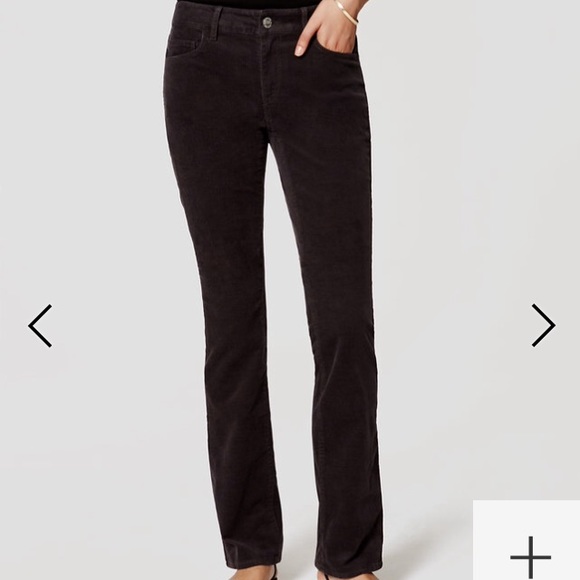 Ann Taylor LOFT Curvy Sexy Boot Cords