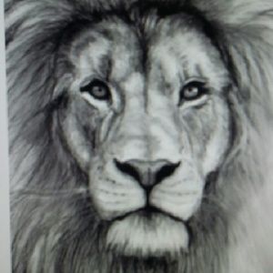 Meet your Posher, Annette