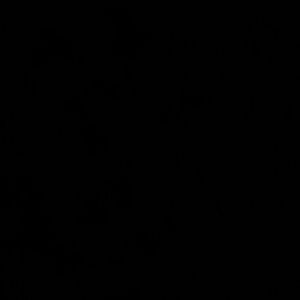 Meet your Posher, Adrienne