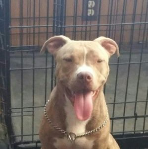 Meet your Posher, Jeff