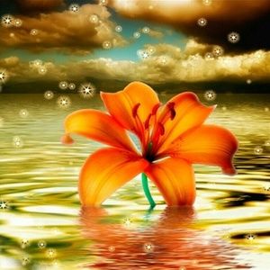 Meet your Posher, Crystal