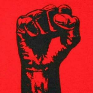 Meet your Posher, Rodney