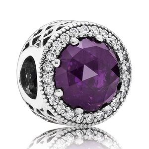 pandora bracelet charm