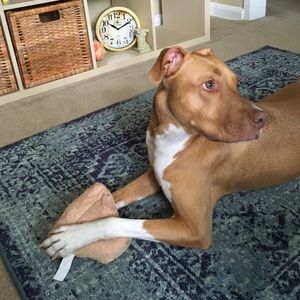 Meet your Posher, Nelson