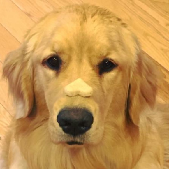 Meet your Posher, Lynn