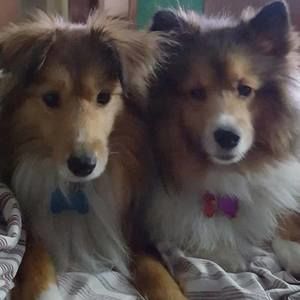 Meet your Posher, Carol