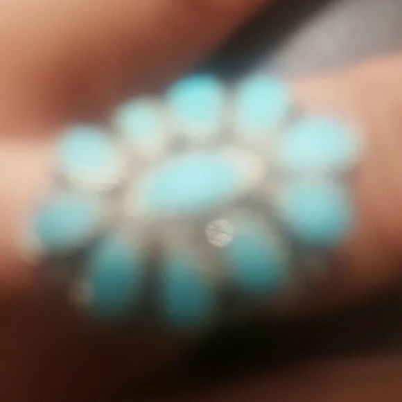 Meet your Posher, Natasha - Picture 1 of 1