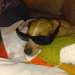 Meet your Posher, Melinda