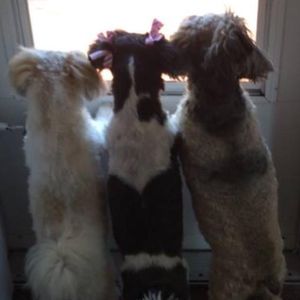 Meet your Posher, Becky