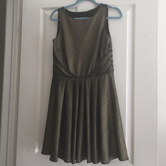 Badgley Mischka Dress