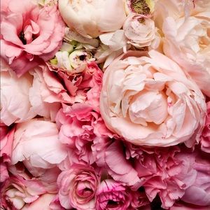 Meet your Posher, Bel