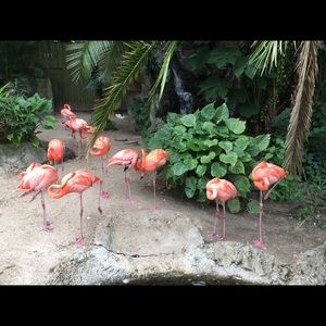 Meet your Posher, Yan