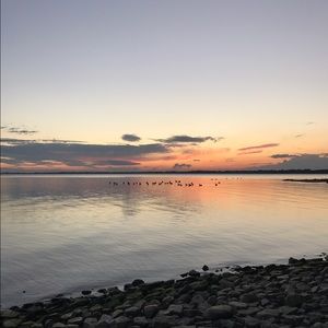 Meet your Posher, Jess