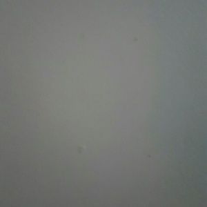 Meet your Posher, Donald