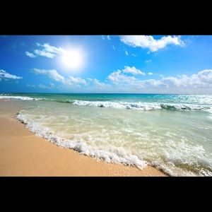 Meet your Posher, Irene