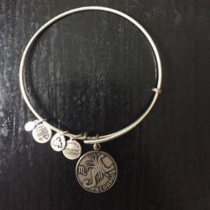 Scorpio Alex and Ani