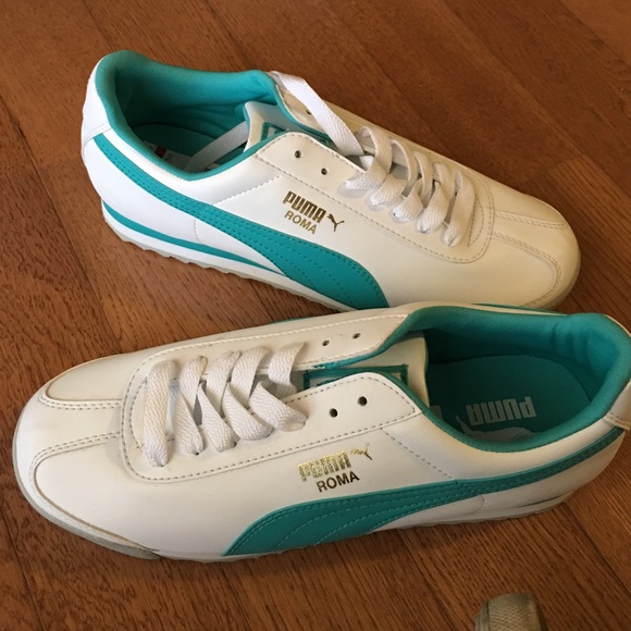 Puma romas