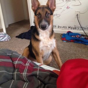 Meet your Posher, John