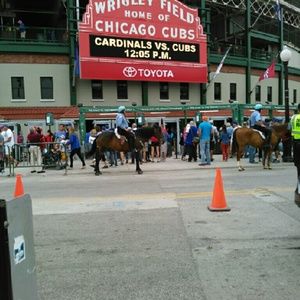 Meet your Posher, Julie