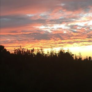 Meet your Posher, Destiny