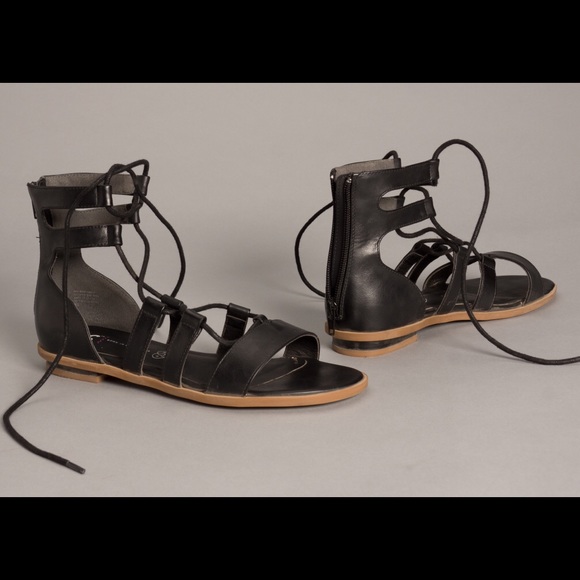 BC gladiators - Picture 2 of 2
