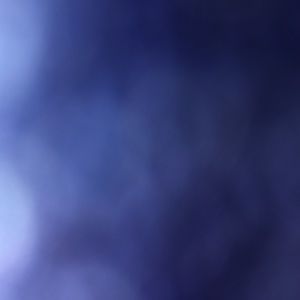 Meet your Posher, Malia