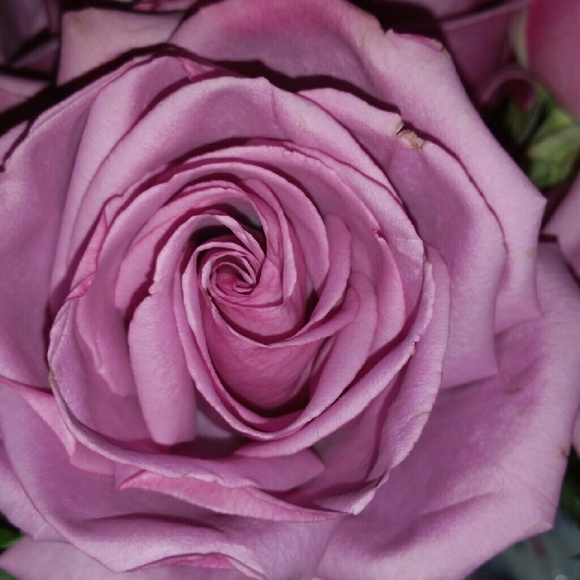 Meet your Posher, Candacy - Picture 1 of 1