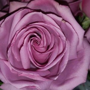 Meet your Posher, Candacy