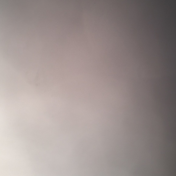 Meet your Posher, Lacey - Picture 1 of 1