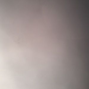 Meet your Posher, Lacey