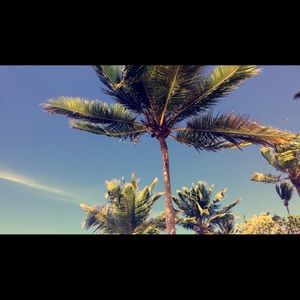 Meet your Posher, Amelia