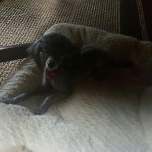 Meet your Posher, Tammy