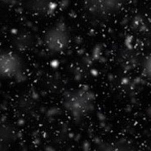 Meet your Posher, Luke