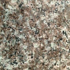 Meet your Posher, Dylan