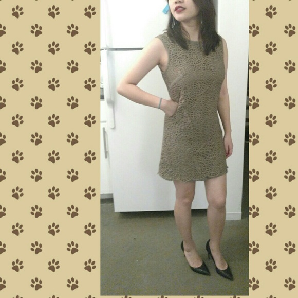 Jenni Kayne Chic Green Sheath Lace Dress