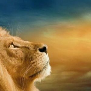 Meet your Posher, Freddy