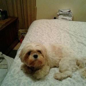 Meet your Posher, Teresa