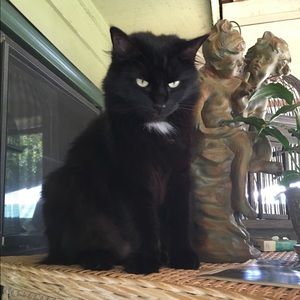 Meet your Posher, Terry