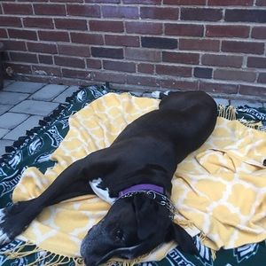 Meet your Posher, Beth