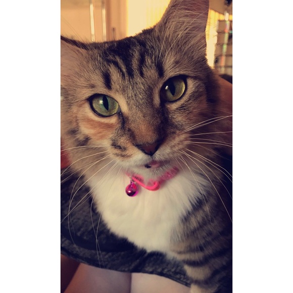 Posher Ambassador & Top Rated Seller Alexandria✨ - Picture 4 of 8