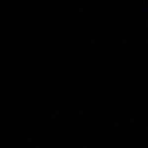 Meet your Posher, Blanca