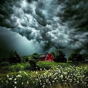 Meet your Posher, Pedro