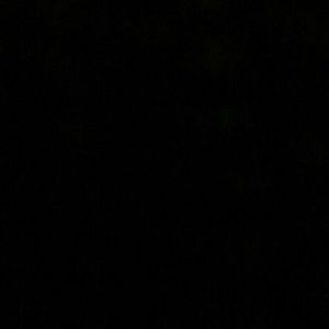 Meet your Posher, Julissa