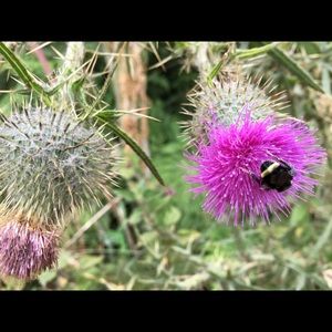 Meet your Posher, Hendy