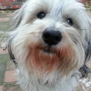 Meet your Posher, Mary