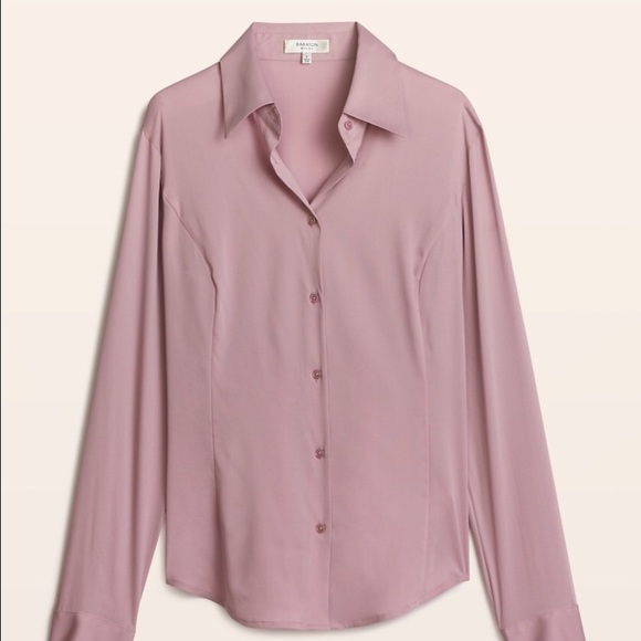 Aritzia Babaton VINEET BLOUSE. Silk Blouse